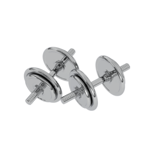 Fitness barbell 5 kg