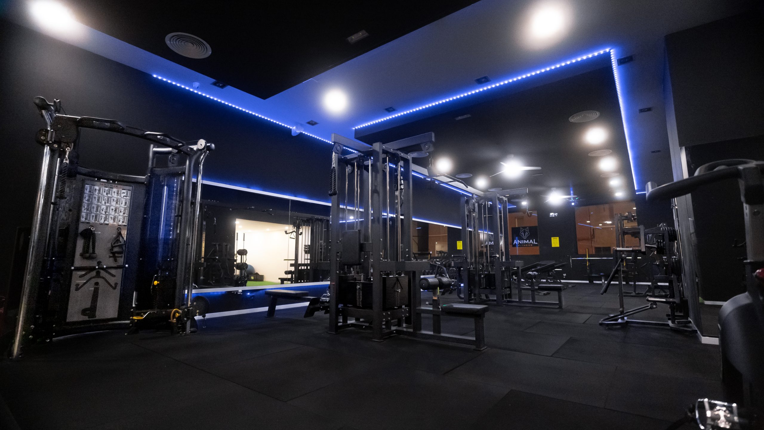Zona de entrenamiento funcional y poleas en Animal Fitness