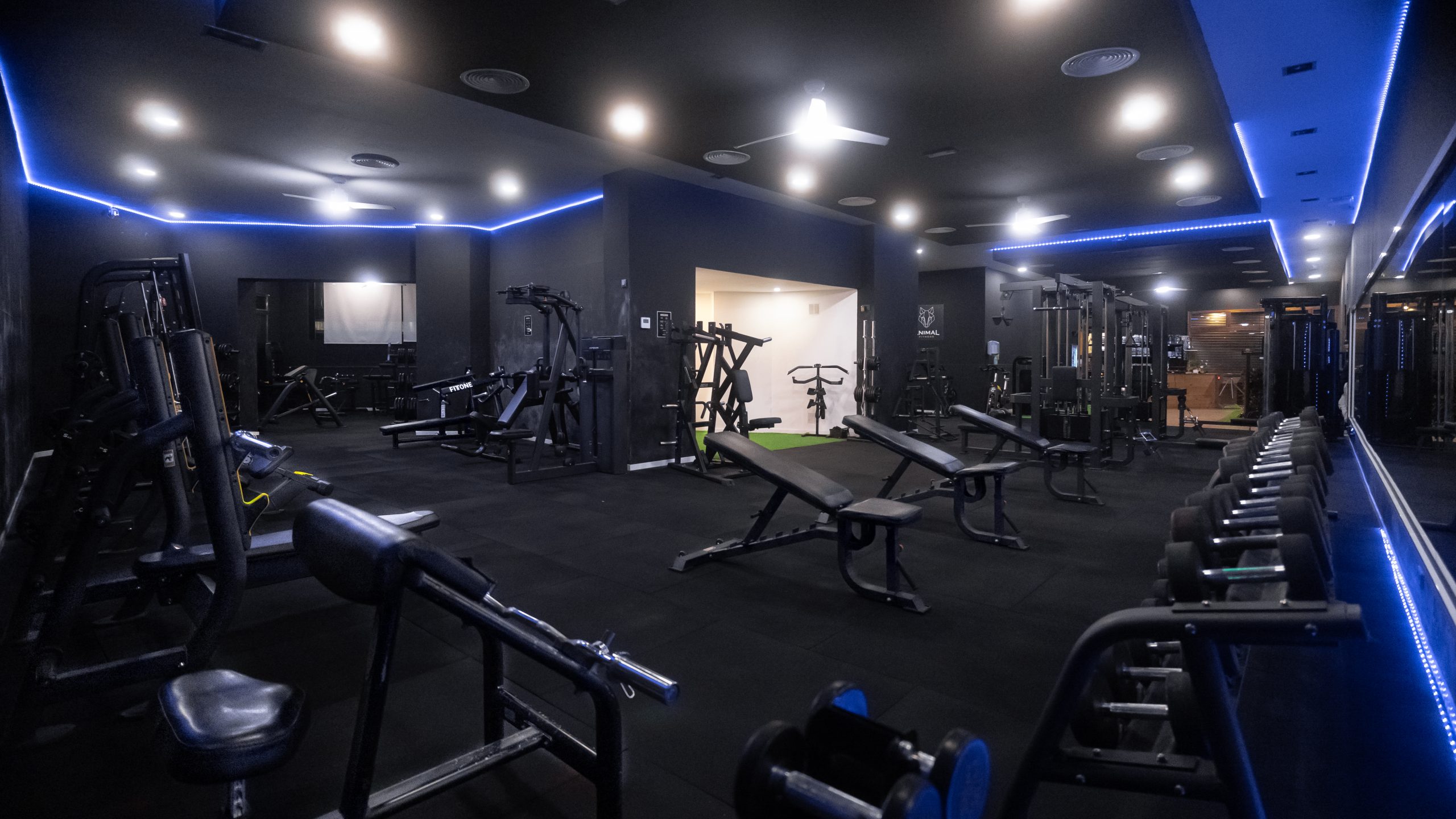 Sala de pesas y musculación en Animal Fitness con iluminación moderna
