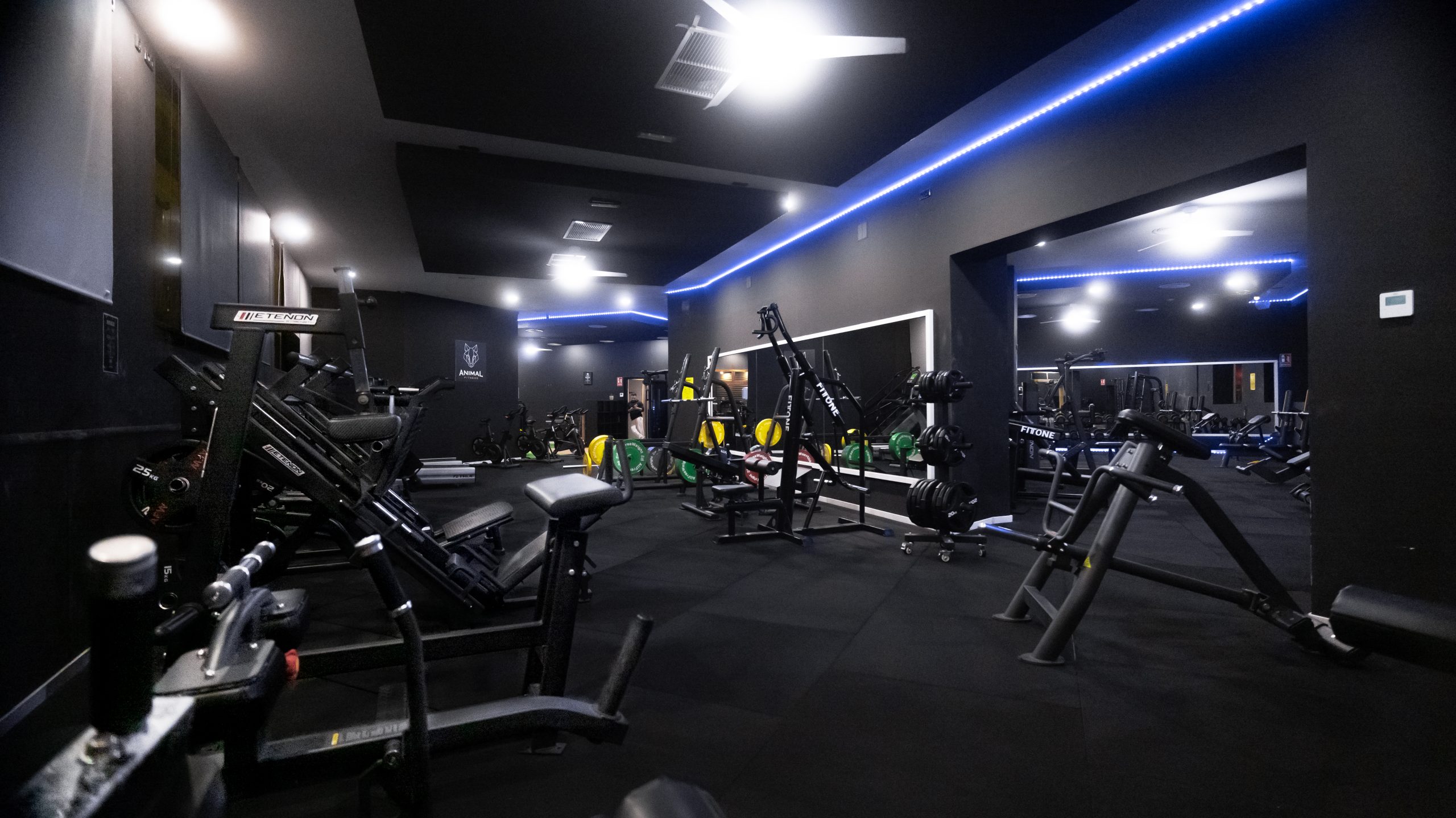 Zona de entrenamiento con maquinaria de fuerza en gimnasio Animal Fitness