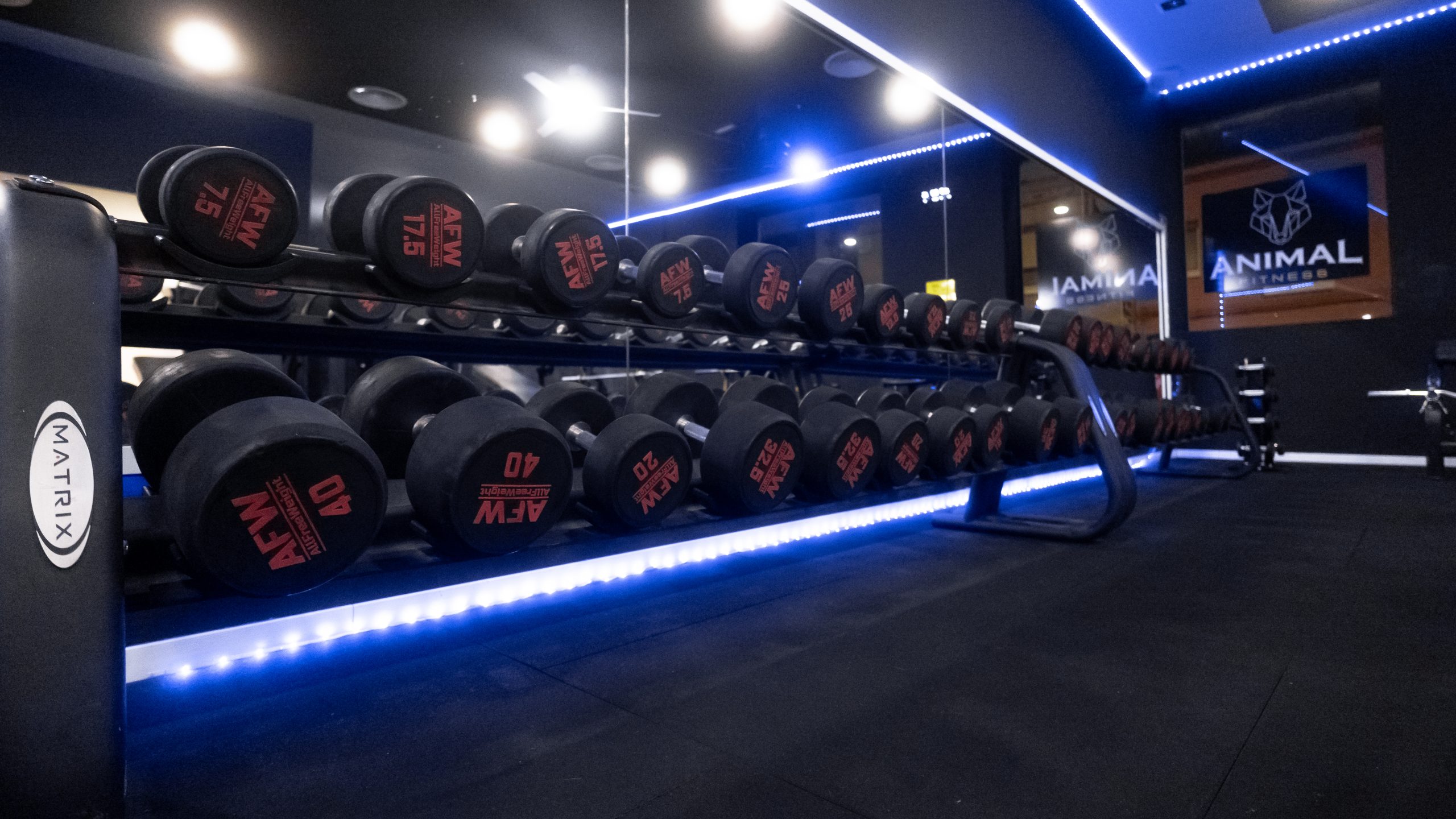 Pesas organizadas en rack frente a espejo en gimnasio Animal Fitness
